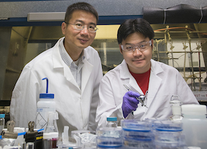 UConn Associate Professor Luyi Sun, left, and graduate student Songshan Zeng work on their novel smart materials in the lab. Image credit: Sean Flynn/UConn.
