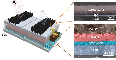 Schematic and electron microscope cross-section show the structure of an integrated, solar-powered catalyst to split water into hydrogen fuel and oxygen. The module can be immersed into water directly to produce fuel when exposed to sunlight. Source: Jia Liang