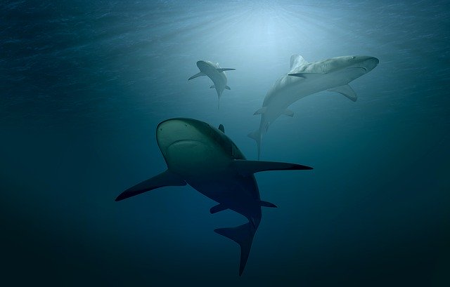 DARPA's Next-Gen Environmental Suits Could Be Inspired by Shark Skin