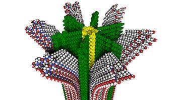 Molecular model of a hybrid polymer that features removable.   