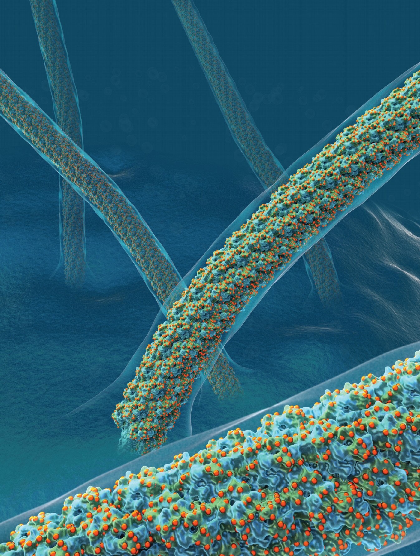 Sugar 'shells' could inspire indestructible clothing and materials