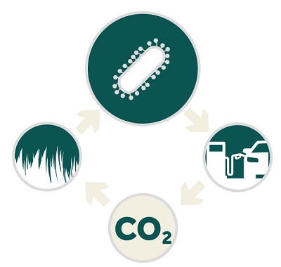 Source: Terragia Biofuel