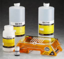 Electrophoresis types, classified by gel type, separation type, or denaturing detergent.   