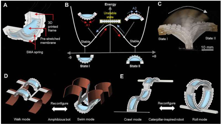 Soft Robot Easily Shifts From Land To Sea | GlobalSpec