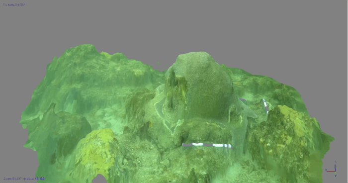 The SfM 3D rotating model can provide greater insights into the spatiotemporal dynamics and impacts of coral diseases on individual colonies and coral communities. Source: Florida Atlantic University, Harbor Branch Oceanographic Institute
