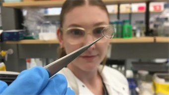 Honeybee silk breakthrough paves the way for smarter, more powerful wound care