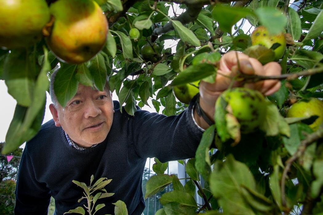Associate professor David Leung’s biodegradable coating can help achieve food security in an environmentally friendly and consumer-conscious way. Source: University of Canterbury