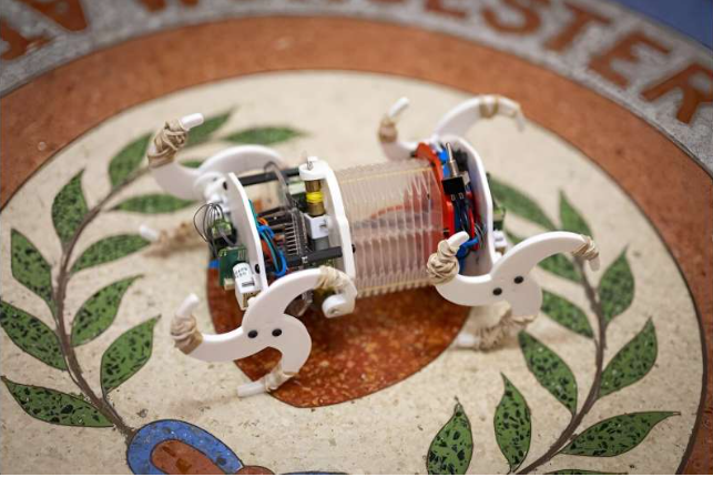 Source: Worcester Polytechnic Institute