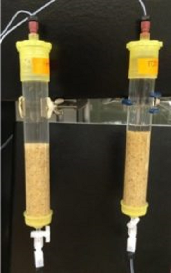The lab-scale sand biofilters contain bacteria that break down microcystin toxins. Source: University of Toledo