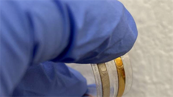A sensor for predicting the freshness of foods