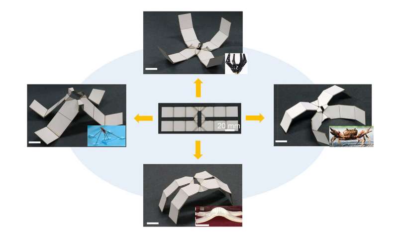 Kirigami-inspired Paper Can Autonomously Transform Into 2D Shapes And ...