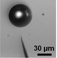 Microbubble immobilized in solution above the apex of the nanoelectrode.  Image source: CINaM-CNRS Aix-Marseille University