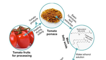 Tomato-based coating eyed for the inside of cans, food packaging
