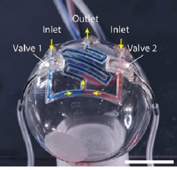 3D printed spherical converging and serpentine microfluidic channels with integrated valves. Source: Ruitao Su et al.