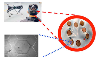 Biosensor technology promises to bring mind control one step closer