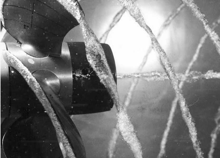 Representative image of bubble cavitation from a propellor. Source: Davidhv22/Wikimedia Commons
