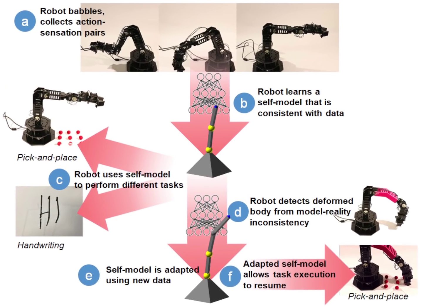 Columbia’s robot generates its own self-model through deep learning, references its model in performing tasks, and can even detect damage to itself by recognizing discrepancies between its self-model and how its body is performing in reality. Source: Columbia Engineering. (Click image to enlarge.)