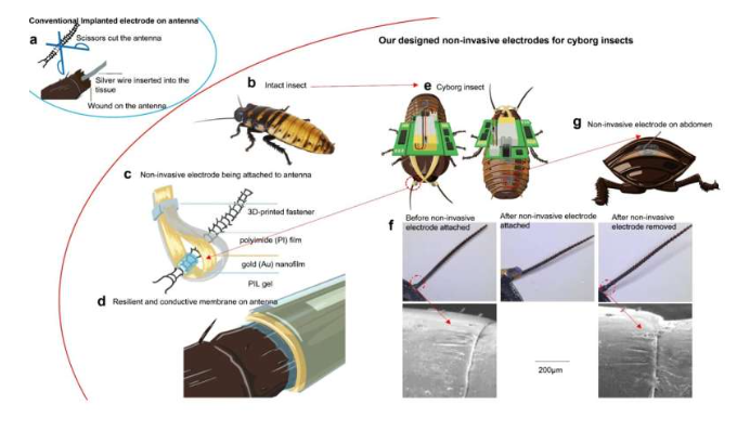 Source: Non-invasive electrodes witSource: npj Flexible Electronics (2023). DOI: 10.1038/s41528-023-00274-z