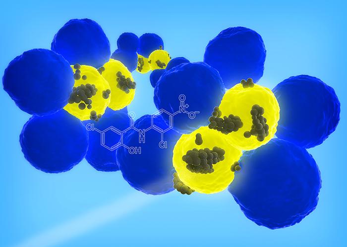 Illinois researchers developed nanoparticles that can target cancer stem cells (yellow), the rare cells within a tumor (blue) that can cause cancer to recur or spread. (Dipanjan Pan)