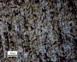 Physical characteristic of martensite in a steel sample. Source: Wikipedia