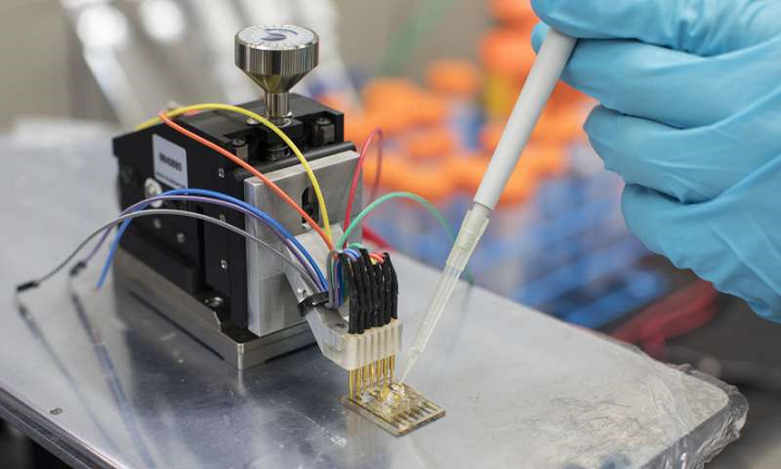 A low-cost sensor composed of semiconducting plastic could be used to diagnose or monitor a range of health conditions. Source: KAUST