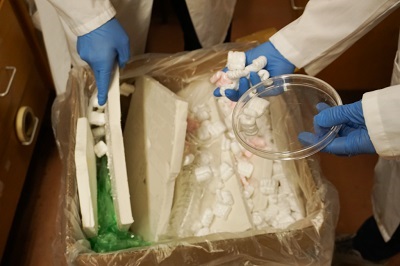 Researchers sort through objects made from polystyrene, a type of plastic that is rarely recycled. Source: Reilly Henson/Virginia Polytechnic Institute and State University 