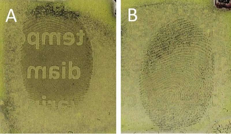 The fingerprint will then appear either masked (A) if put down before the text was printed on the paper or complete (B) if put down after the text had been printed. Source: Loughborough University