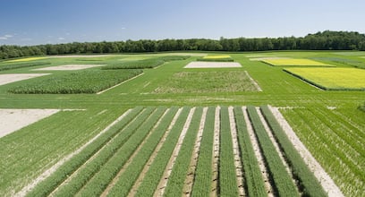 Bioenergy crops required for power plant fuel could occupy 580 million hectares of land. Image credit: DOE/BERIS.