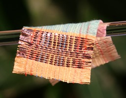 A piece of fabric woven with special strands of material that harvest electricity from the sun and motion. Source: Georgia Tech