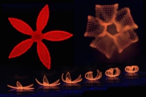 Harvard researchers take shape shifting into the 4th dimension