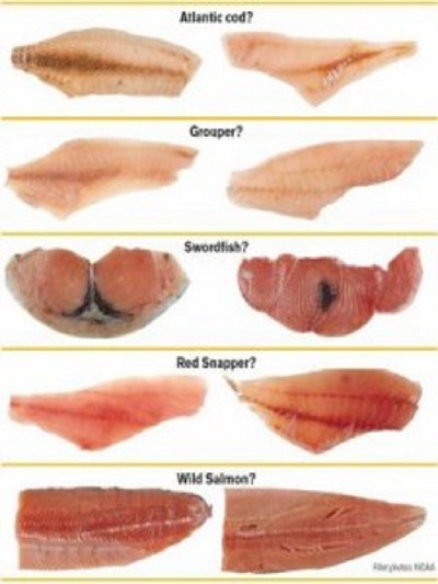 Source: NOAA