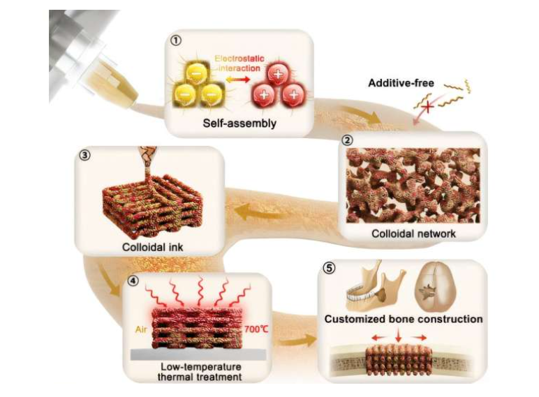 Source: ACS Nano (2025). DOI: 10.1021/acsnano.5c06377