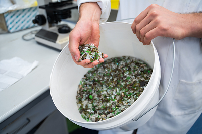 Glass fragments are transformed into commercially valuable liquid silicate. Source: University of Queensland