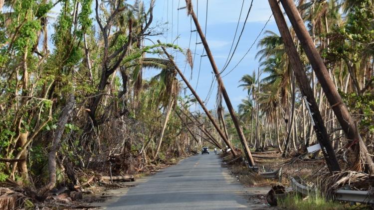 Report urges focus on supply chain recovery after a disaster