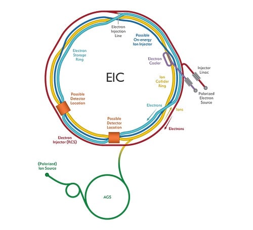 Schematic of the proposed EIC. Credit: Brookhaven National Laboratory