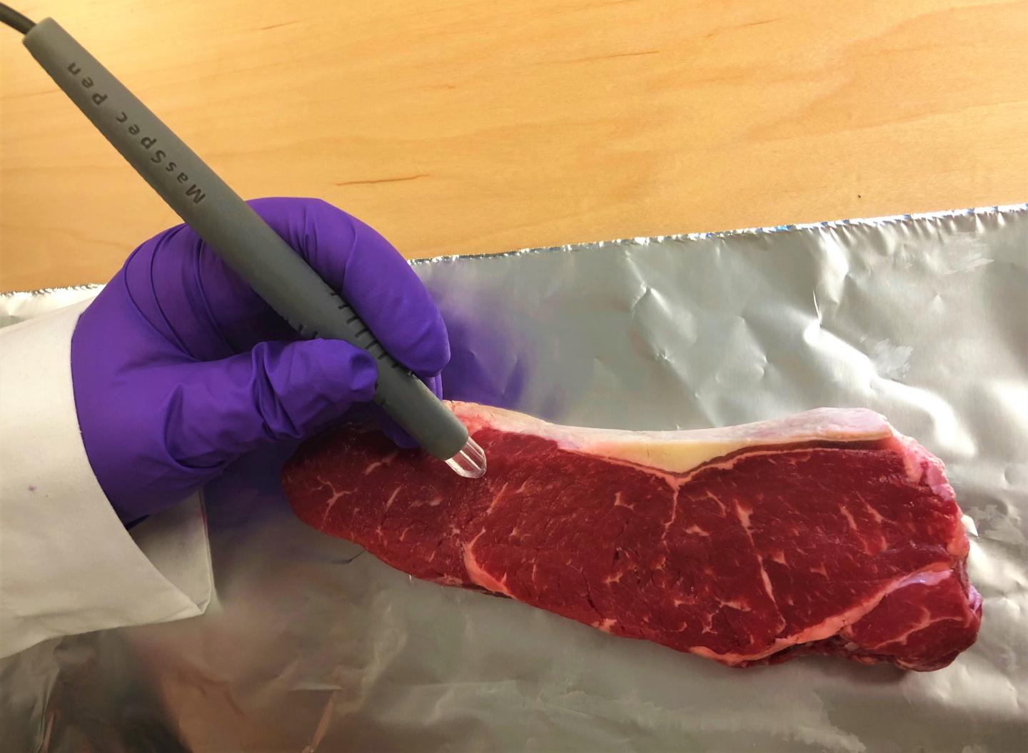 The MasSpec Pen can authenticate the type and purity of meat samples in as little as 15 seconds. Source: Adapted from Journal of Agricultural and Food Chemistry