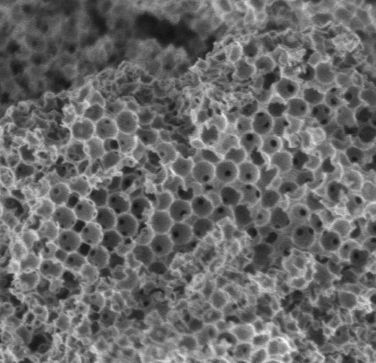 Sponge-like catalysts could transform biodiesel production and chemical manufacturing. Image shows the porous ceramic sponge fabricated in the study (magnified 20,000 times). Source: RMIT University