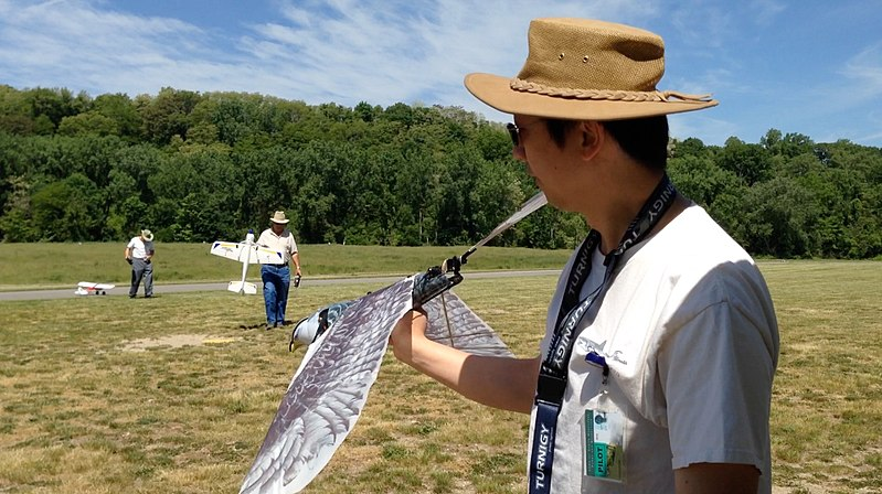 Figure 4. Skyonme Spybird maiden flight of flapping-wing drone. Source: Fred Hsu/CC BY-SA3.0 