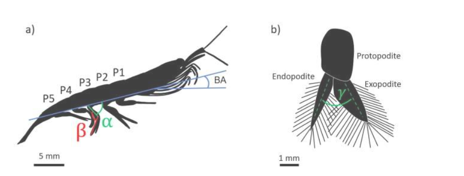 Source: Oliveira Santos et al.