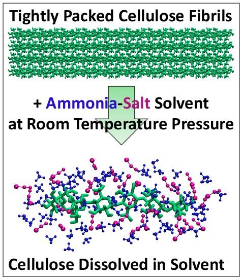Next-generation ammonia-salt based pretreatment processes facilitate efficient breakdown of waste biomass such as corn stalks, leaves and other residue (called corn stover). (Source:Shih-Hsien Liu/ORNL and Shishir Chundawat/Rutgers University-New Brunswick)
