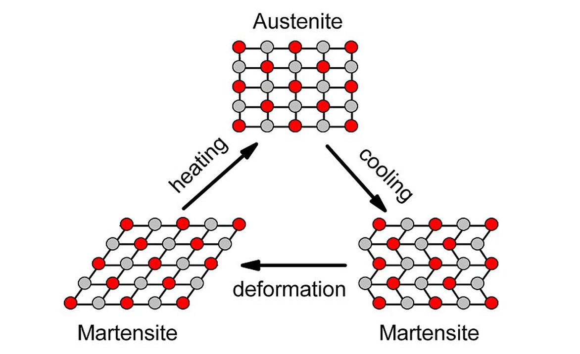 From casting and hot drawing, austenite cools to martensite (right side of this diagram). The martensitic form is deformed at lower temperature, such as room temperature, forming the graphic on the bottom left. The material is then heated, transitioning to austenite, and then cooling back to the un-deformed martensite. Source: Mmm-jun/CC BY-SA 3.0