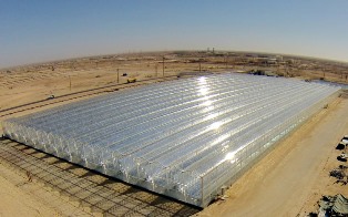 GlassPoints solar enhanced oil recovery facility at the Amal West Oilfield. Source: GlassPoint