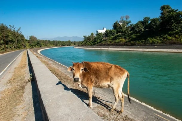 India’s farmland is fed by a vast network of irrigation canals, like this one near the source of the Ganges. Source: PradeepGaurs/Shutterstock