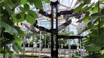 Six-armed robot designed for precision pollination