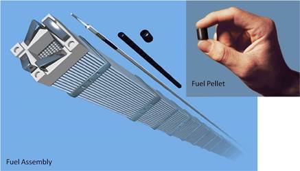 Individual fuel pellet and a fuel assembly unit. Image source: Duke Energy