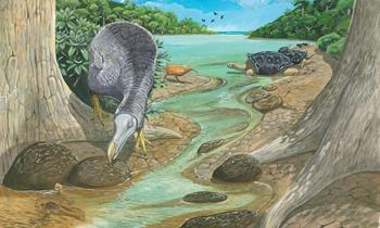 Reconstruction of the dodo in the Mare aux Songes swamp in Mauritius, where a large number of dodo specimens have been found. Source: Julian Hume