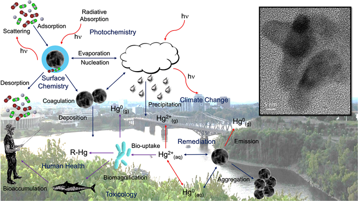 The detection of mercury-containing nanoparticles in urban air and the implications of mercury-containing nanoparticles on the biogeochemistry of atmospheric mercury. Source: A. Ghoshdastidar and P. Ariya