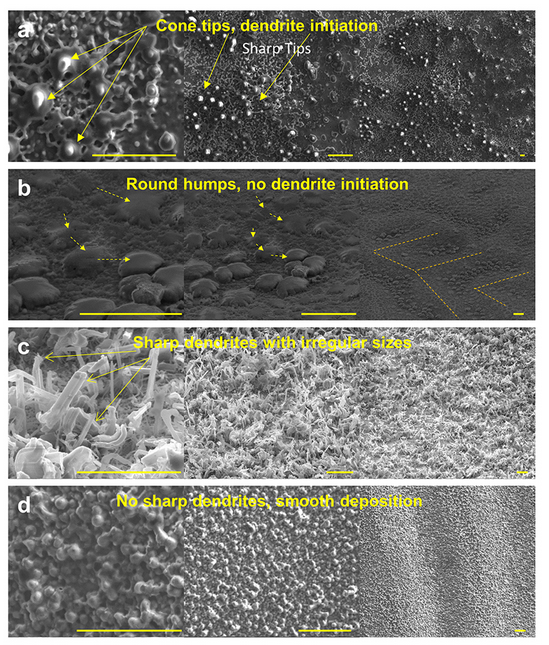 Figure 3. Hypothesis proven: Morphology of the plated lithium on hard and soft substrates confirms that stress relaxation mitigates lithium dendrite formation. Source: Wang et al / ASU