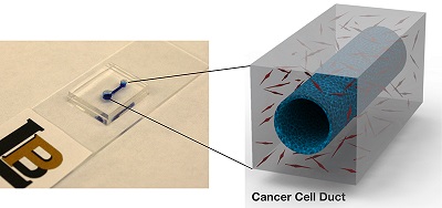 The link between blood clots and pancreatic cancer is being studied with this tiny simulation device. Source: Purdue University/Bumsoo Han