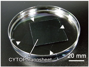 The CYTOP&reg; nanosheet developed by the researchers. Source: Zhang H. et al., Advanced Materials, August 11, 2017